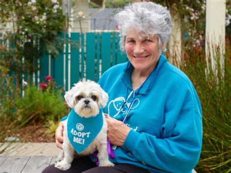 Peace of mind dog rescue - Peace of Mind Dog Rescue is dedicated to finding new loving homes for dogs whose guardians can no longer care for them due to illness, death, or other challenging circumstances, and to finding homes for senior dogs in animal shelters. 